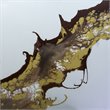Bromi Design Sun Rays Hand Painted Canvas Wall Art