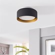 Lynch 10 in. 1-Light Black and Gold Flush Mount Ceiling Fixture