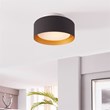 Lynch 10 in. 1-Light Black and Gold Flush Mount Ceiling Fixture