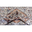 L'Baiet Sasha Coral Distressed Washable 5 ft. x 7 ft. Fabric Area Rug