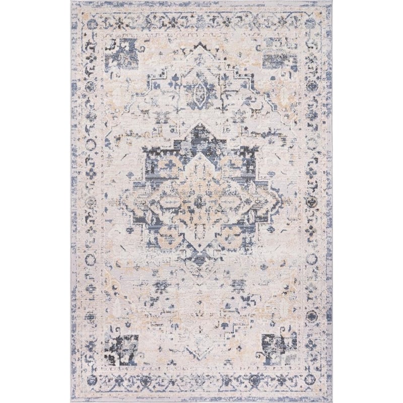 L'Baiet Sophia Gray Oriental 4 ft. x 6 ft. Fabric Area Rug