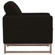 Black Chenille  33