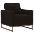 Black Chenille  33