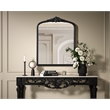 Elegant Decor Naomi Vintage Resin Mirror 33X42 in Vintage Bronze