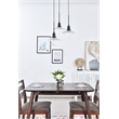 Living District Waltz 3 Light Black Pendant