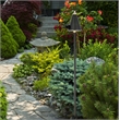 Elitco Outdoor 12V Cast Brass Torch Light 8Inch W X 24Inch High In Dark Bronze