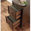 Baton Rouge 2 Drawer File Cabinet in Brushed Walnut Finish in Engineered Wood