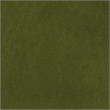 Stella Cane Back Chair in Moss Green Fabric