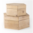 Mercana Elyse Set of Two Brown Wooden Hexagonal Boxes