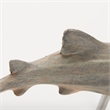 Mercana Willa Small Gray Resin Whale Shark sculpture