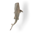 Mercana Willa Large Wall-Mountable Gray Resin Whale Shark Sculpture