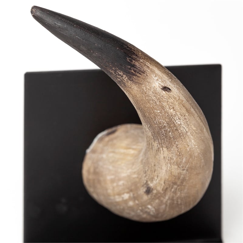 Mercana Nickerson Brown Tones Resin Bull Horn Bookend