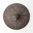 Mercana Mandor I Small Brown Resin Acorn Box