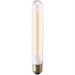 Light Bulbs & Components