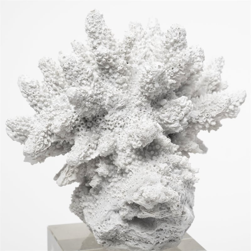 Mercana Isla (Large) 5L x 5W White Replica Resin Coral On Clear White Glass