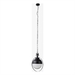Mercana Leighton Ii 15X20 Black Metal Spherical Pendant Light in Clear