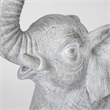 Mercana Tantor (15.9