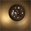 Mercana Leighton I 15X20 Gold Toned Metal Spherical Pendant Light in Clear