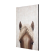 Mercana Horse Fringe Painting On Wood in Blue
