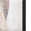 Mercana Horse Fringe Painting On Wood in Blue