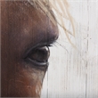 Mercana Horse Fringe Painting On Wood in Blue