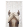 Mercana Horse Fringe Painting On Wood in Blue