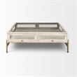 Arelius White Wood Gold Metal Base Square Display Coffee Table