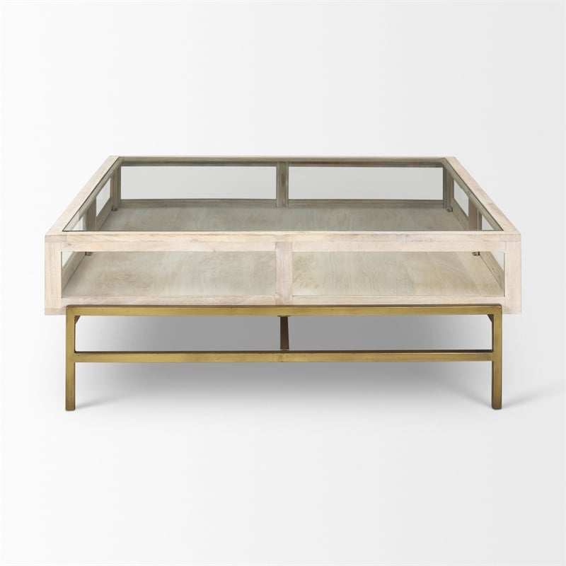 Arelius White Wood Gold Metal Base Square Display Coffee Table