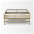 Arelius White Wood Gold Metal Base Square Display Coffee Table