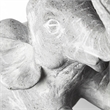 Maynard I Set of Grey Elephant Wall Decorations