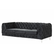 RN Furnishings 2- Piece Button Tufted Velvet Fabric Sofa Set -Black