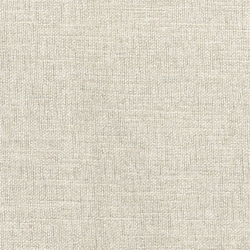 Lexicon elegant Adriano Upholstered Wingback Chair in Beige