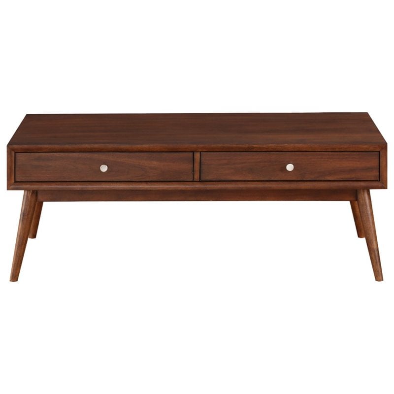 Lexicon Frolic Wood 2 Drawer Coffee Table in Brown