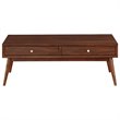 Lexicon Frolic Wood 2 Drawer Coffee Table in Brown