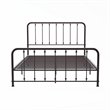 Lexicon Larkspur Queen Metal Platform Bed in Dark Bronze