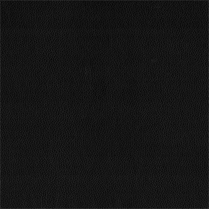 Lexicon Lorenzi Contemporary Wood and Faux Leather Twin Bed in Black