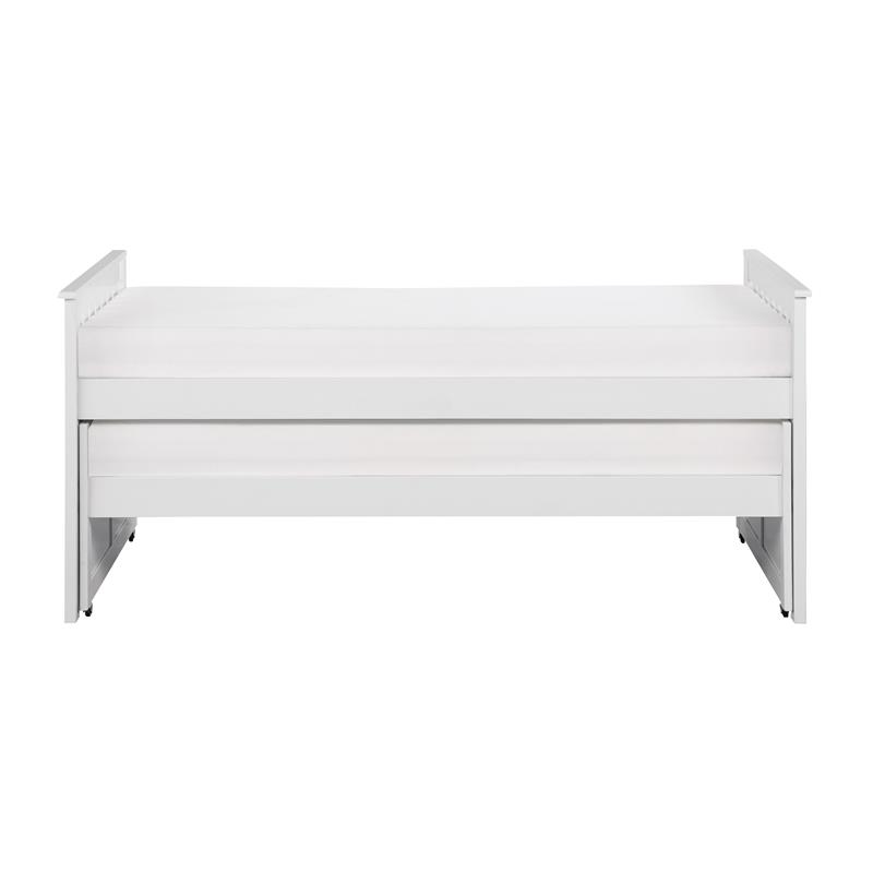 Lexicon Galen 81.5