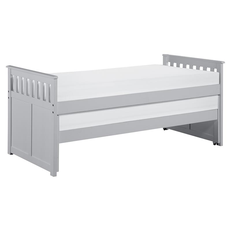 Lexicon Orion 81.5