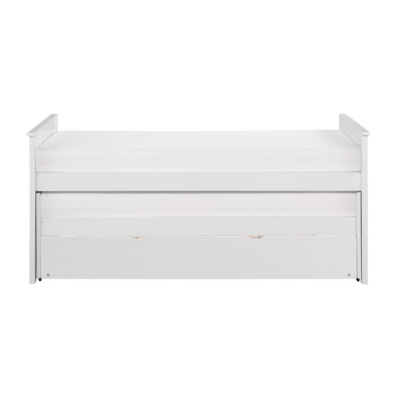 Lexicon Galen 81.5