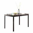 Lexicon Tempe 5-Piece Transitional Metal Dining Set in Black