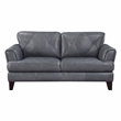Lexicon Thierry Leather 2-Piece Upholstered Sofa Set in Gray