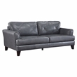 Lexicon Thierry Leather 2-Piece Upholstered Sofa Set in Gray
