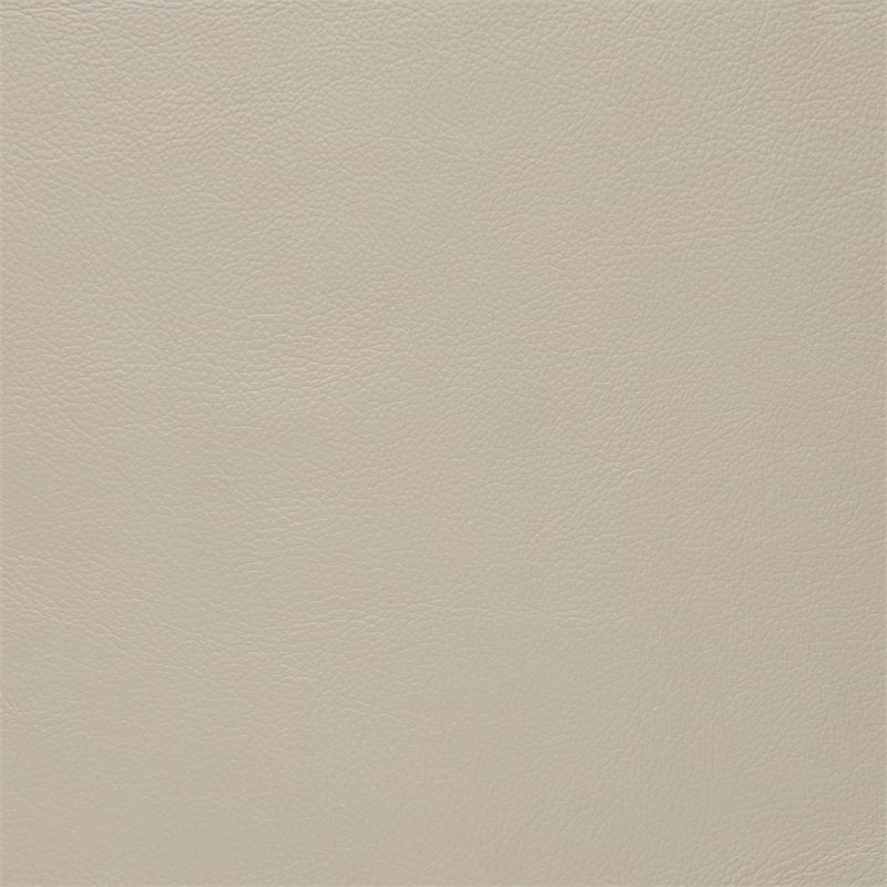 Lexicon Thierry Leather 2-Piece Upholstered Sofa Set in Cream