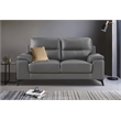 Lexicon Mischa Leather 2-Piece Upholstered Sofa Set in Dark Gray