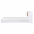 Lexicon Asker Wood Twin Bookcase Bed in 2-Tone Finish (White and Natural)