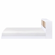 Lexicon Asker Wood Full Bookcase Bed in 2-Tone Finish (White and Natural)