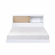 Lexicon Asker Wood Full Bookcase Bed in 2-Tone Finish (White and Natural)