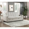Lexicon Michah Fabric Convertible Sofa with Pull-out Bed in Light Gray