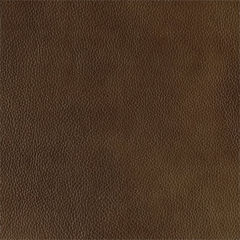 Lexicon Ellicott Leather Match Double Reclining Sofa in Brown