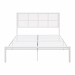 Lexicon Sanibel Metal Frame Queen Metal Platform Bed in White